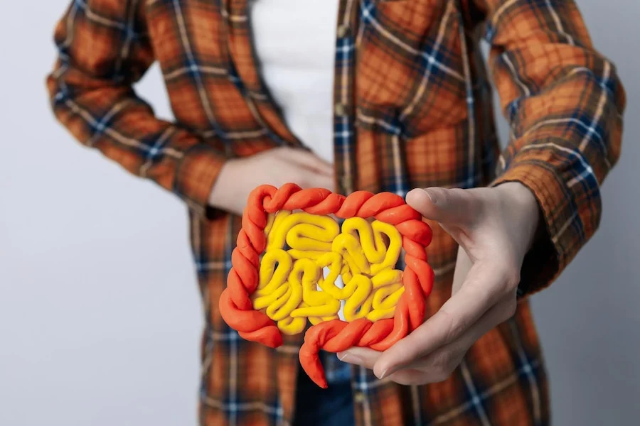concept-health-care-internal-organs-intestines