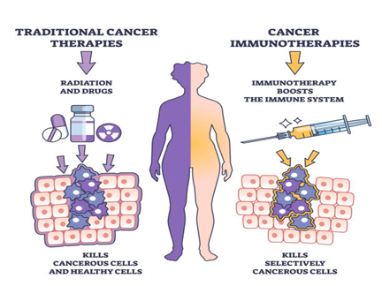 Cancer-Immunotherapies