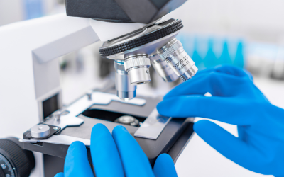 Endometrial-Biopsy